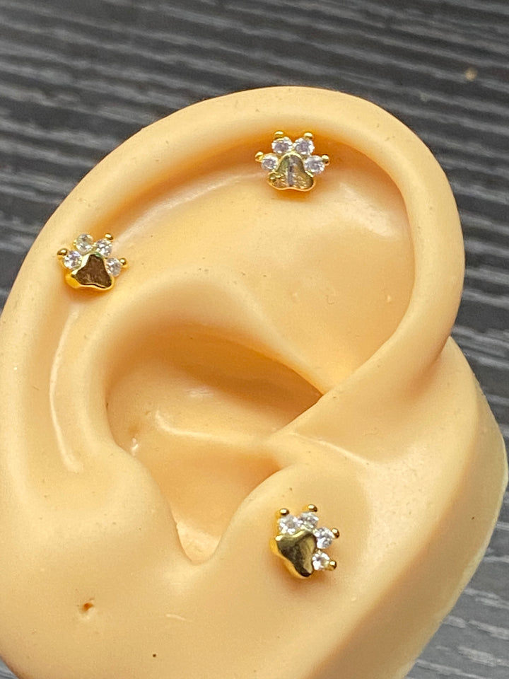 Arete Quirúrgico 🐾 Huella Dorada | Nicola Joyería