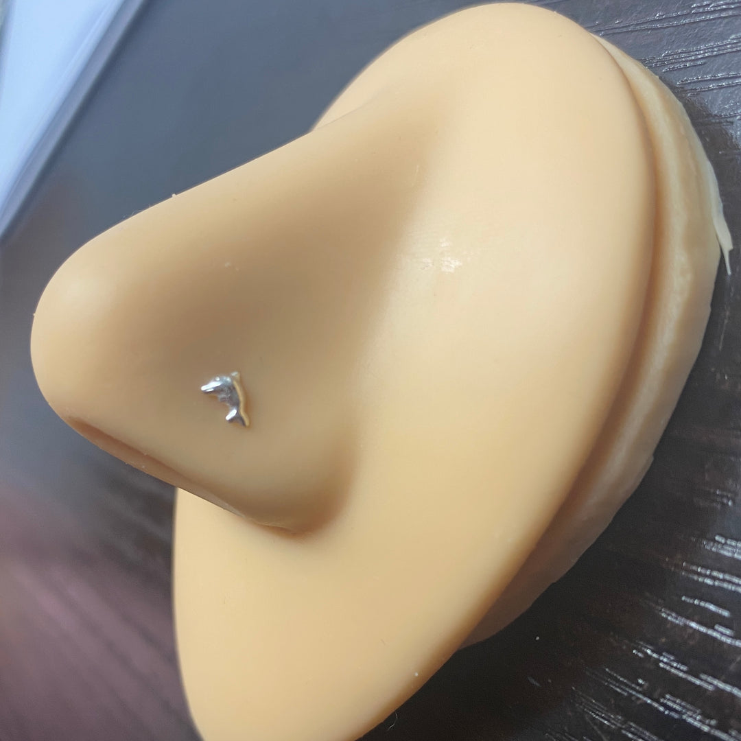 Piercing Recto de Nariz Plata Delfín