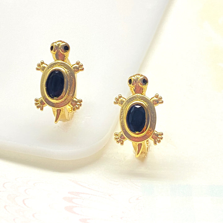 Huggies 🐢 Tortuga Circonia Negra