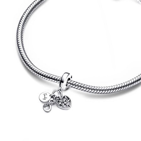 Charm de plata