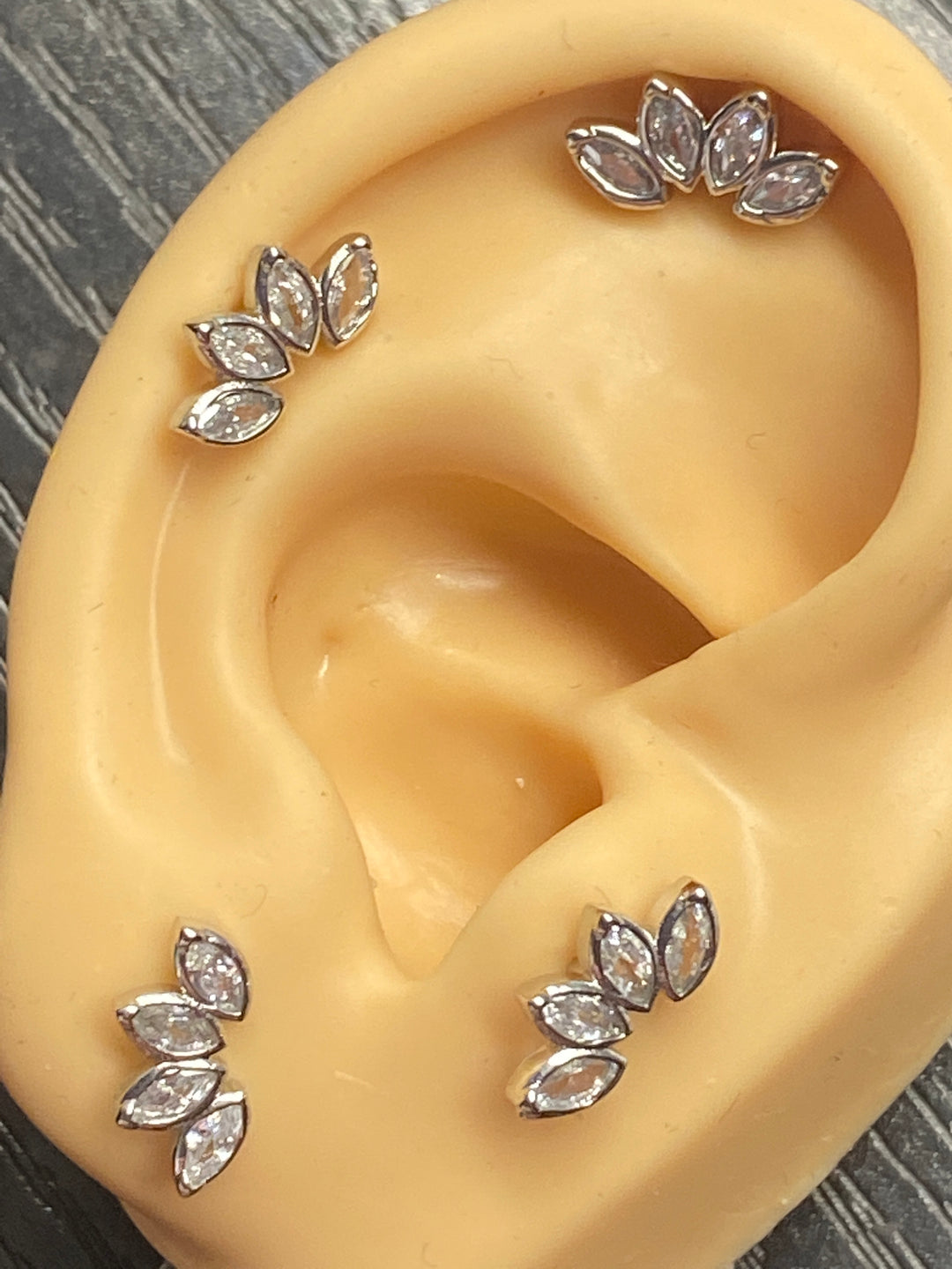 Arete Quirúrgico 🍁 Pétalos Plateados