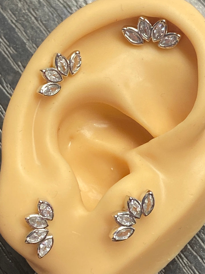 Arete Quirúrgico 🍁 Pétalos Plateados