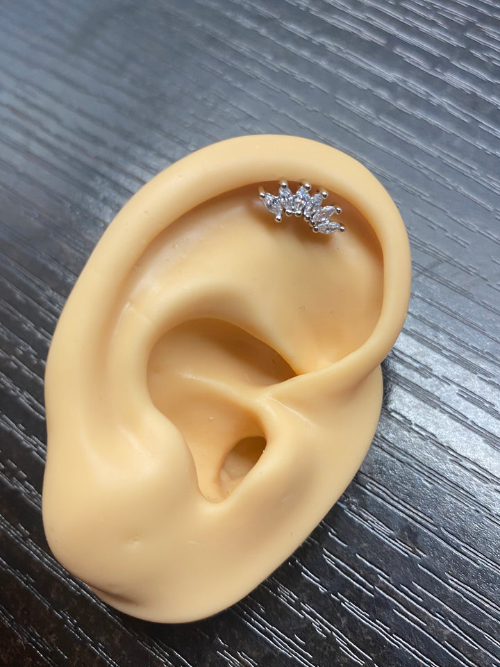 Arete Quirúrgico 🍃 Petalo Plateado