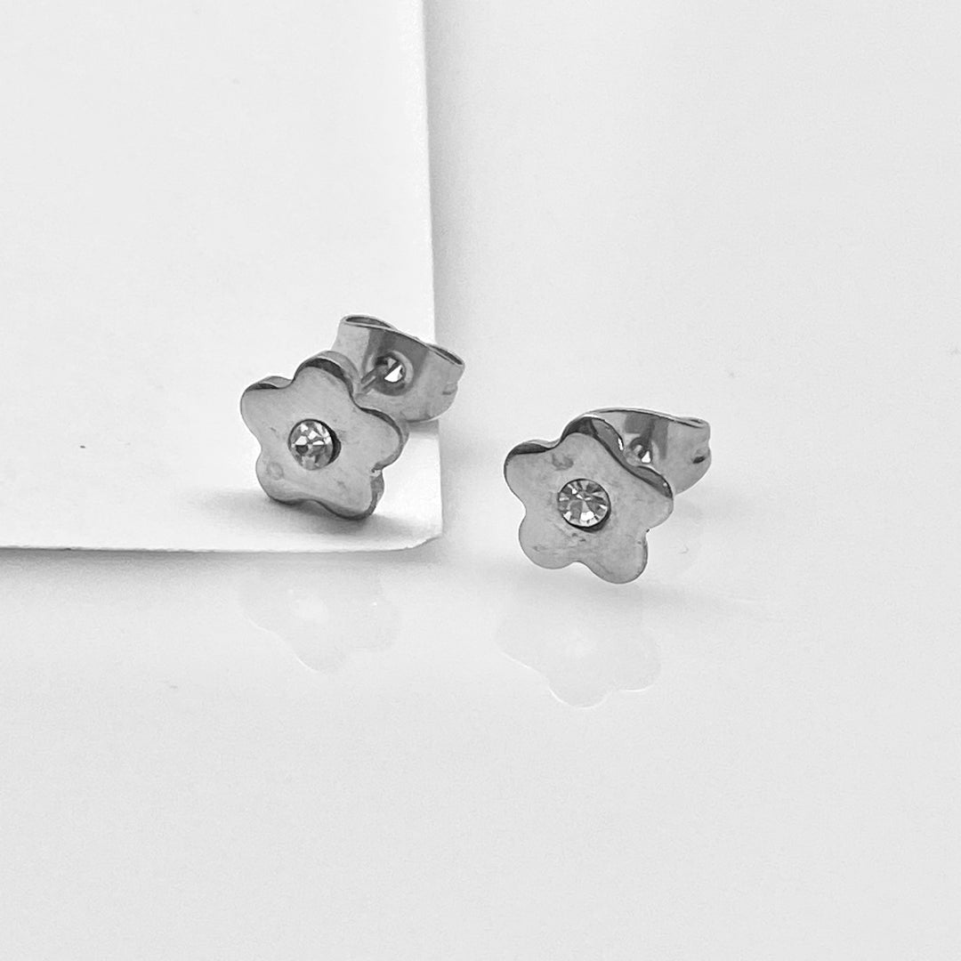 Aretes de Acero