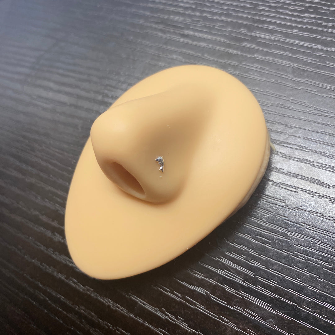 Piercing Recto de Nariz Plata Delfín