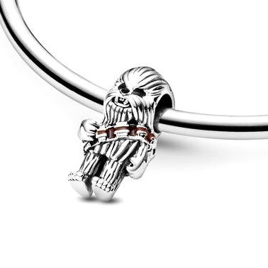 Charm de plata