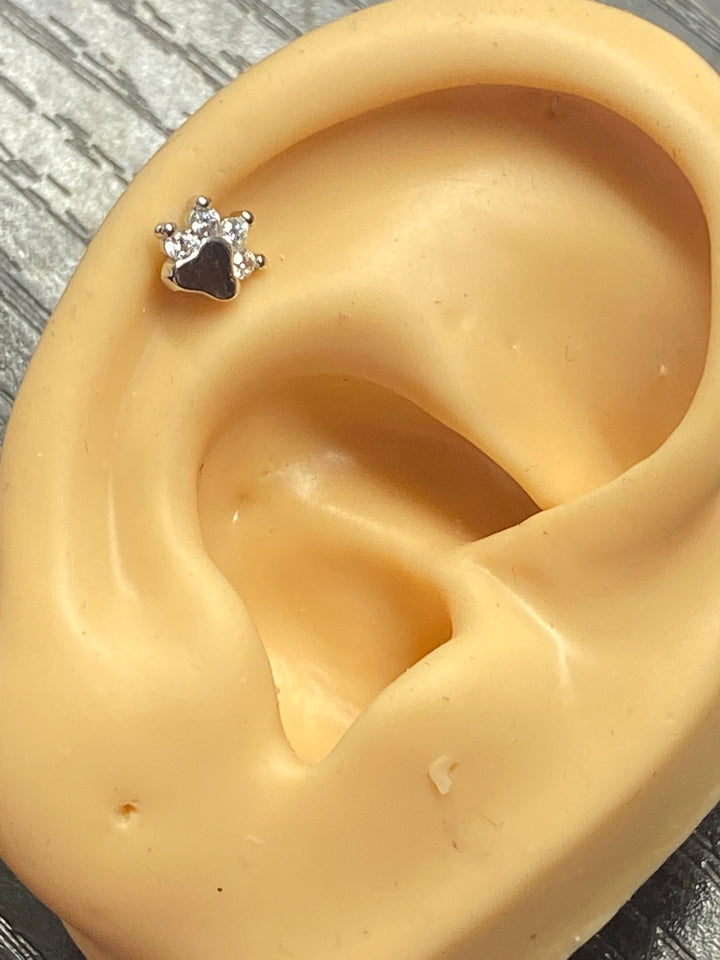 Arete Quirúrgico 👑 Corona Plateado| Nicola Joyería