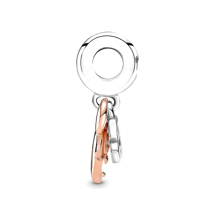 Charm de Plata